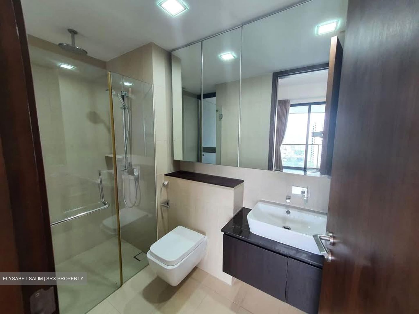 Spottiswoode Residences (D2), Condominium #588969951
